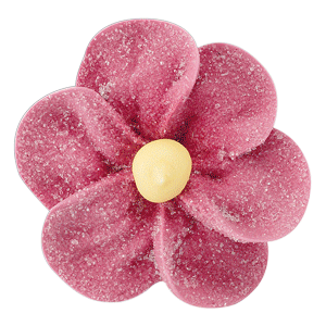 Anemone Zu Brinato