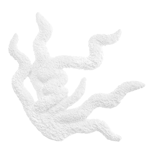 Corallo 2D Bianco