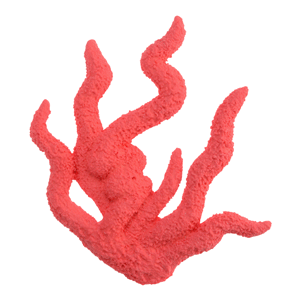 Corallo 2D Rosso