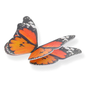 Farfalla 3D Cialda