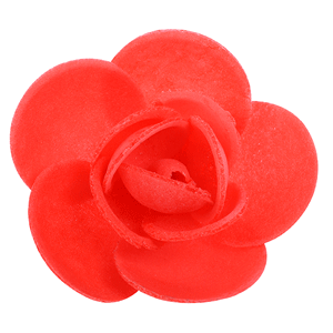 Rosa Linda Rossa