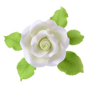 rosa singola